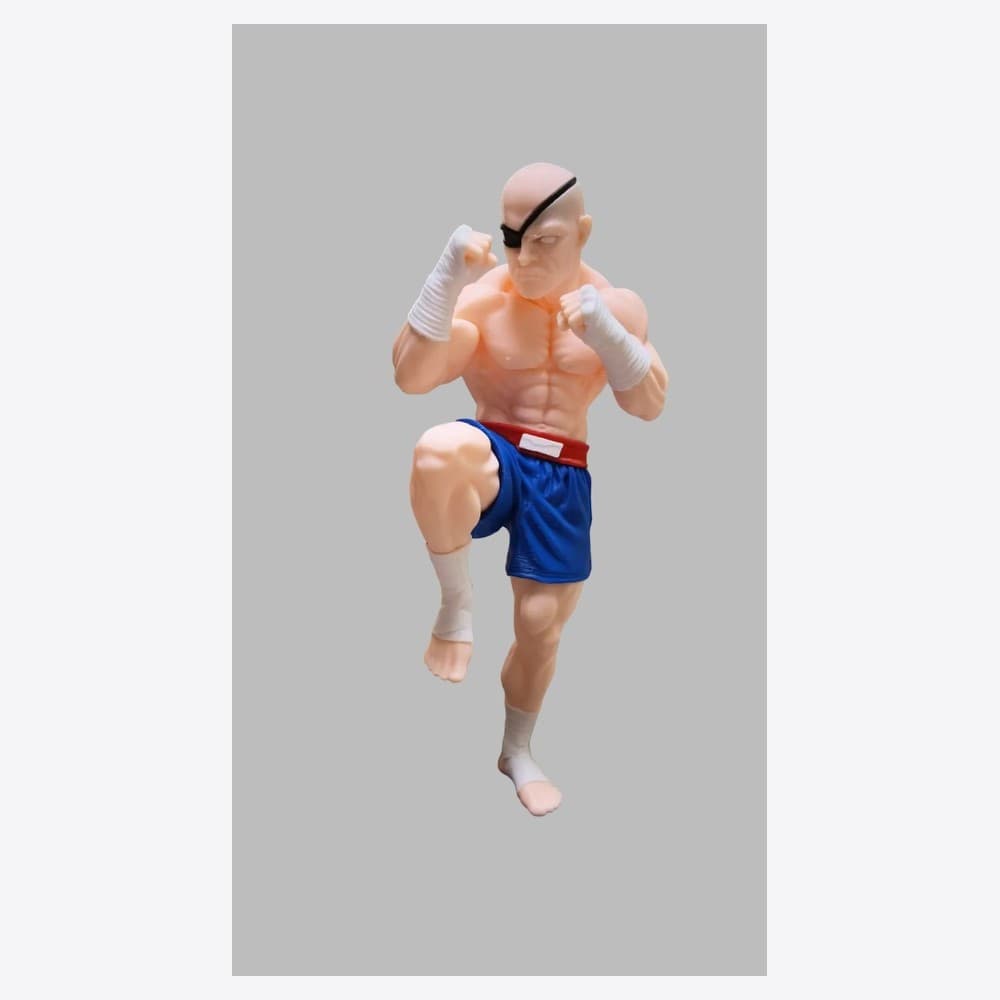 Chibi Sagat — 3/4 studio