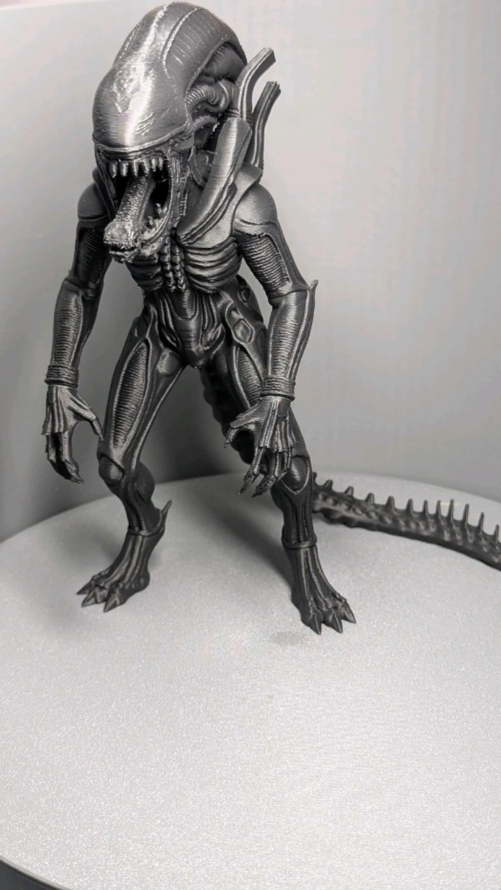 Alien Xenomorph — frente