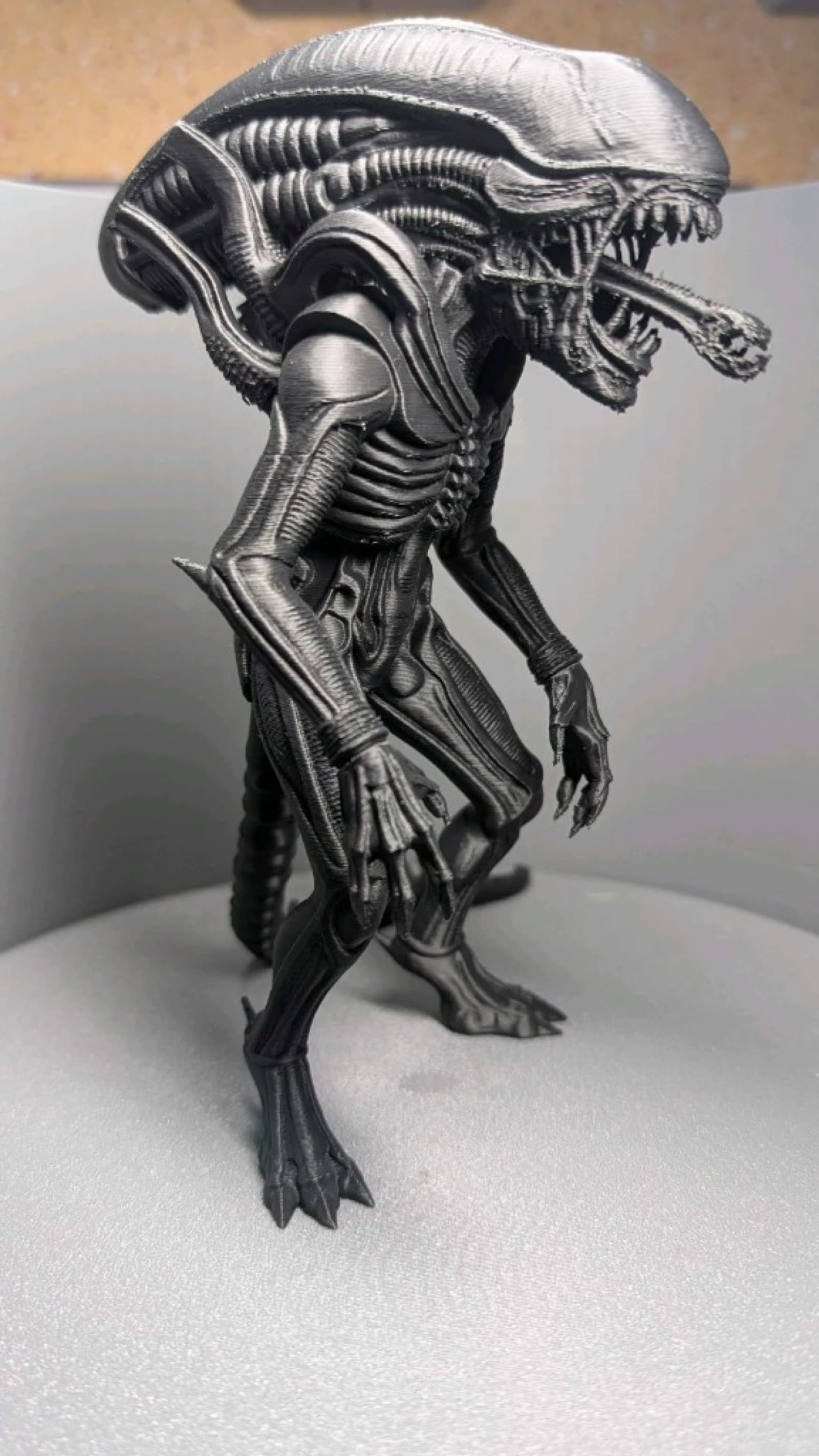 Alien Xenomorph — 3/4